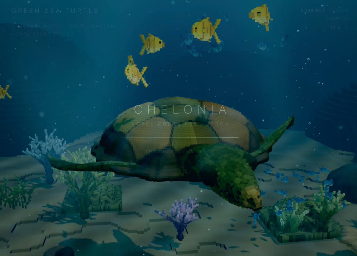 Turtle prompt generation speed comparison