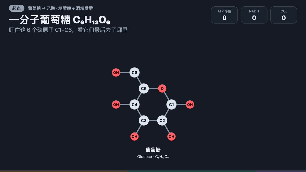 Animated SVG of glucose glycolysis into ethanol