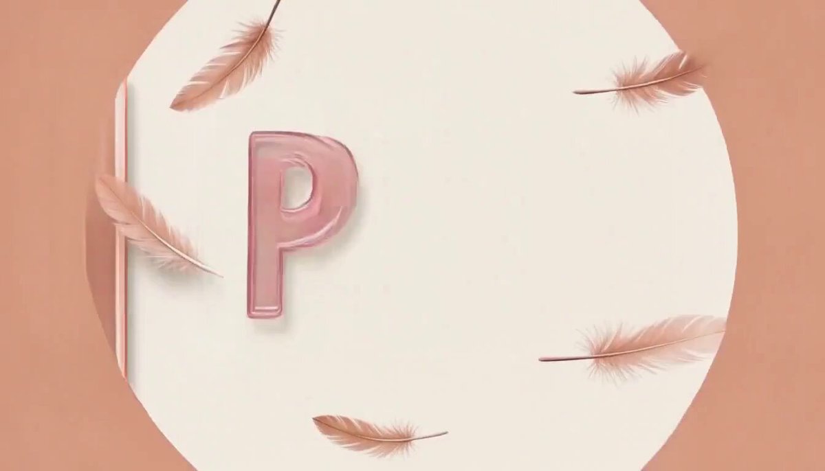 Motion graphics personality reveal for an orange kitten
