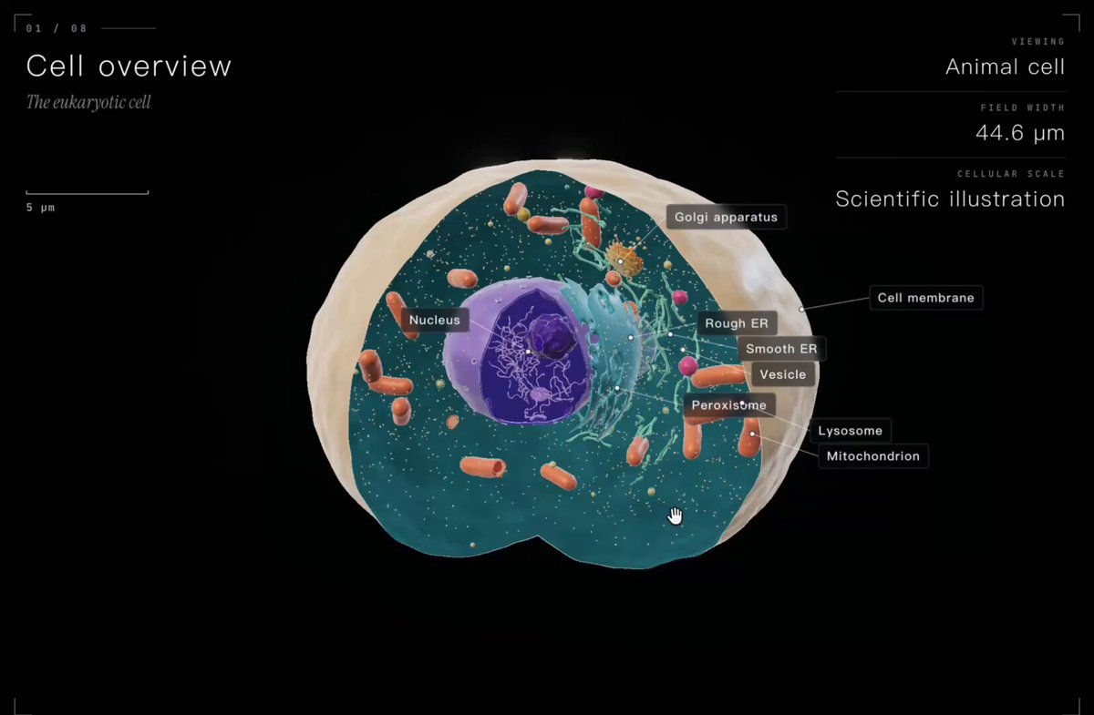Biological cell courseware built with Three.js